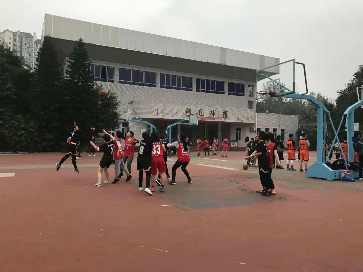 图二 (2).jpg