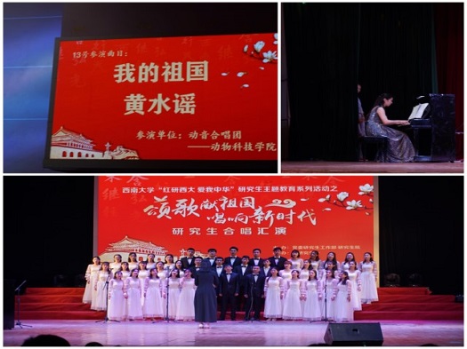 图片三.jpg