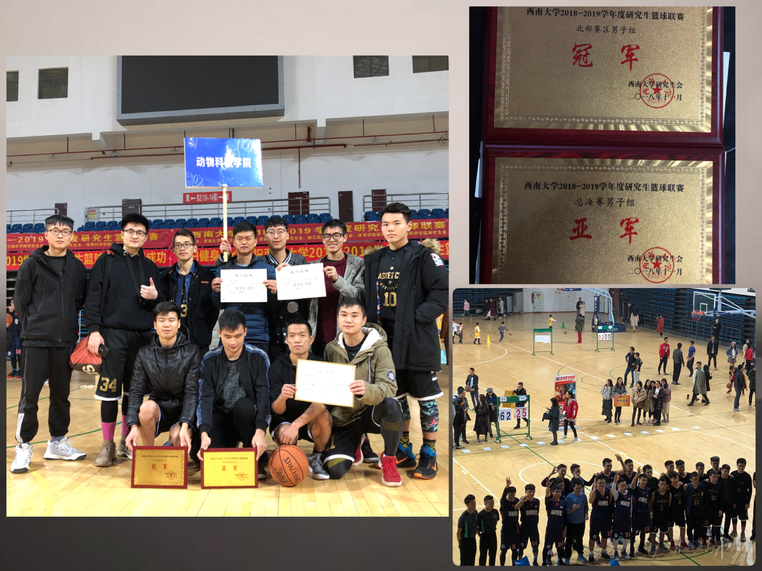 图片一获奖.JPG