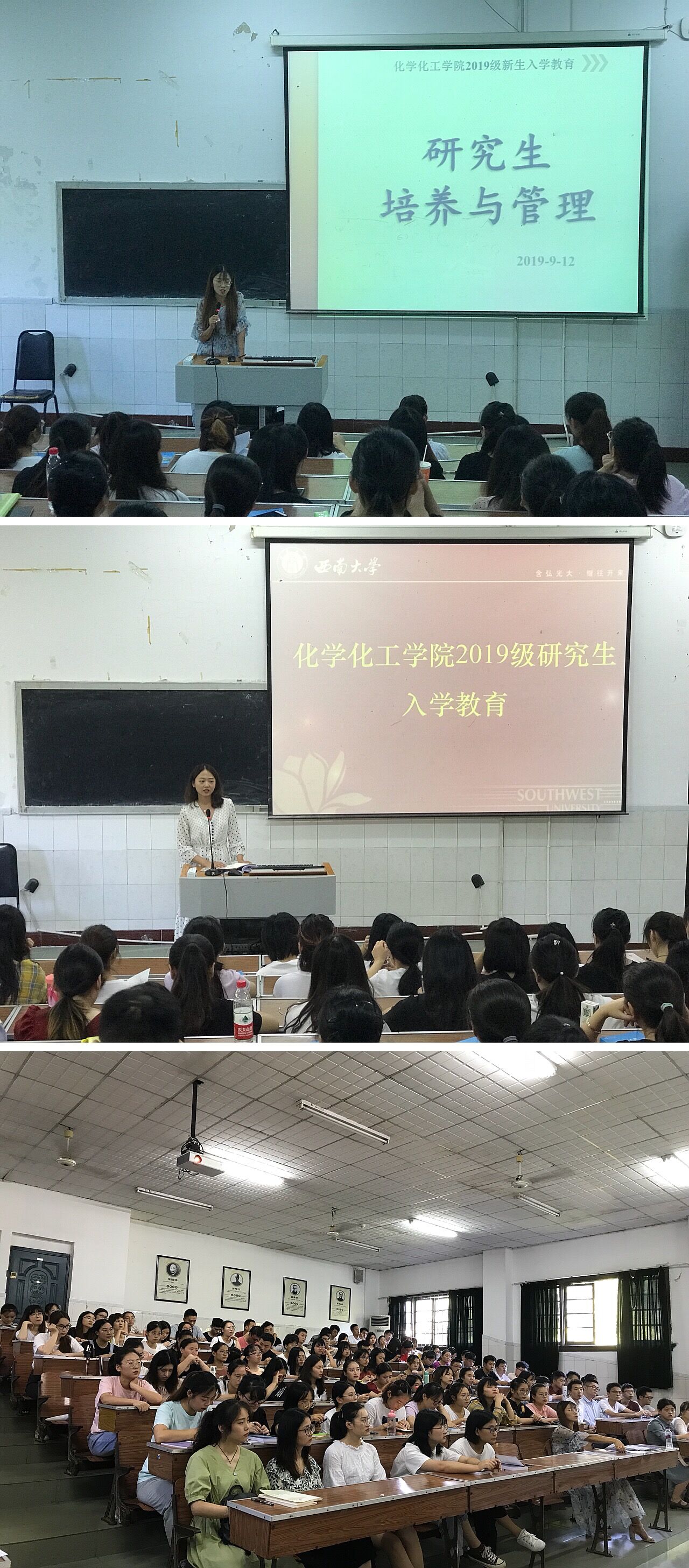 图片二 三 四.jpg