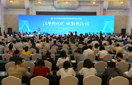 照片3.jpg