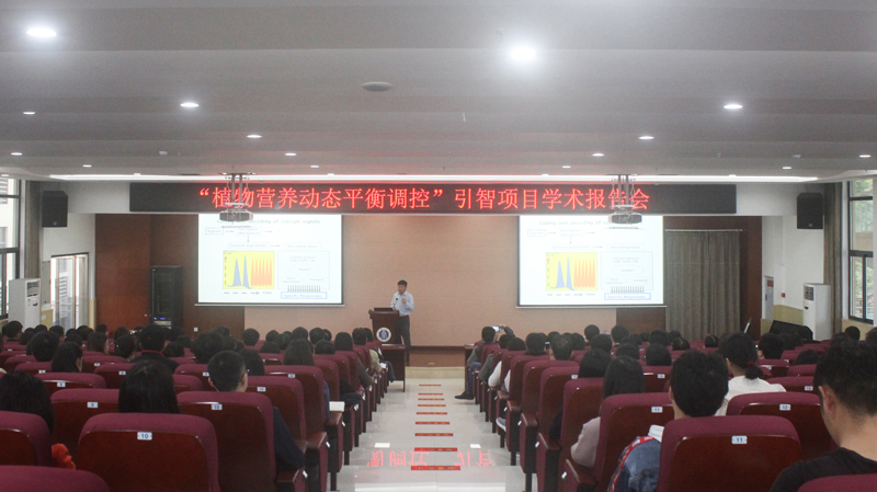 照片4 报告会全景.jpg