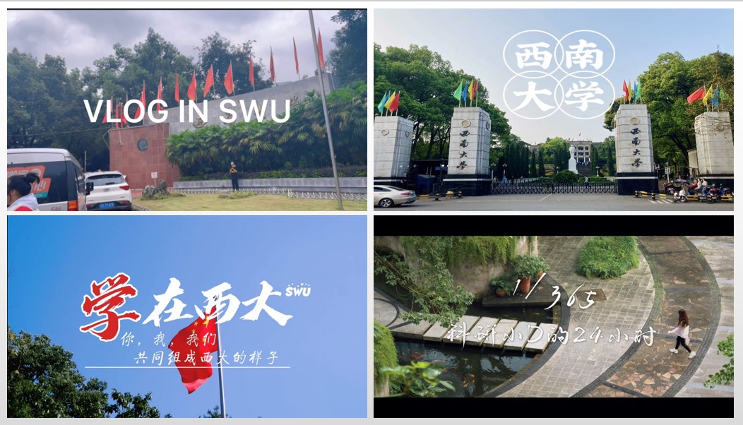 作品封面合集3.jpg