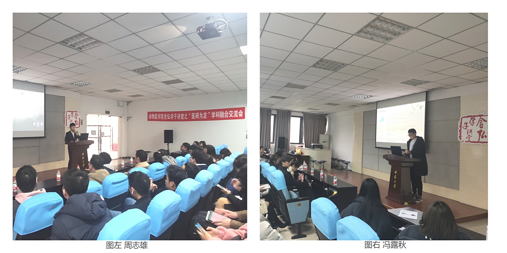 图片二.png